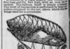 AIRSHIPS 1884 TO 1914 The Challenge Continues in Dirigibles Peter C. Campbell’s Flying Machine-min