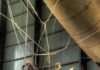 AIRSHIPS IN WORLD WAR 1 The Airship at War: 1914 – 1918 Gondola of Caquot Type R Observation Balloon at the USAF Museum
