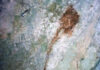 The Oldest Kite Image on Muna Island