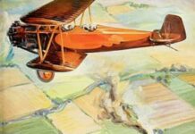 Heavier Than Air Flight 1928 Berryloid Pigmented Dope Advertisement Showing Command-Aire 5C3