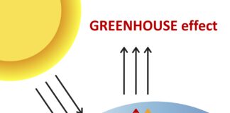 Greenhouse Effect