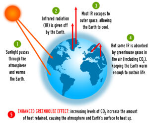 THE GREENHOUSE EFFECT AND CLIMATE CHANGE