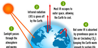 THE GREENHOUSE EFFECT AND CLIMATE CHANGE