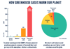 THE TYPES OF GREENHOUSE GASES THE TYPES OF GREENHOUSE GASES