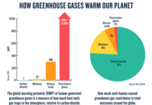 THE TYPES OF GREENHOUSE GASES THE TYPES OF GREENHOUSE GASES