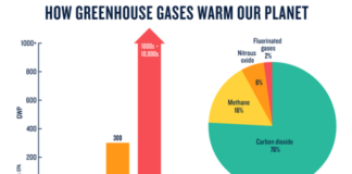 THE TYPES OF GREENHOUSE GASES