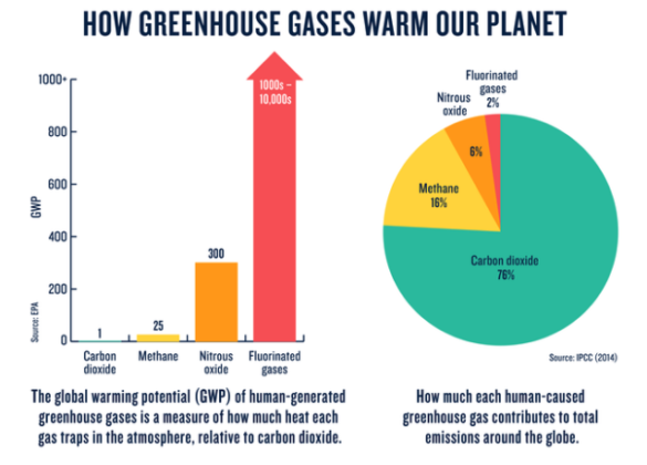 THE TYPES OF GREENHOUSE GASES